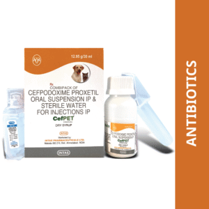 Intas Cefpet Dry Syrup (Cefpodoxime Proxetil) for Dogs and Cats (30ml) - 30ml