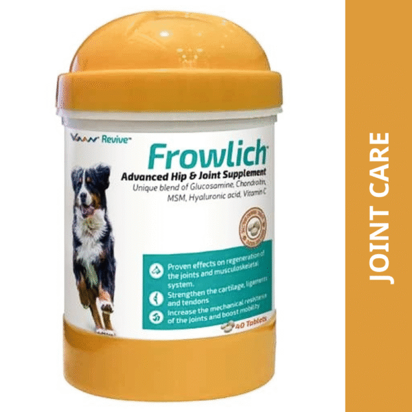 Vvaan Frowlich Tablet (pack of 40 tablets) - 1 Bottle (40 tablets)