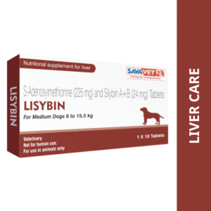 Savavet Lisybin Tablet (pack of 10 tablets) - Large Dog