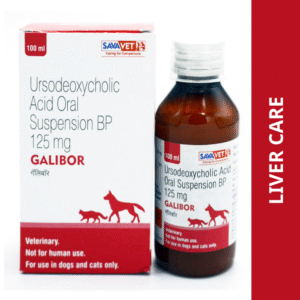 Savavet Galibor Supsension (Ursodeoxycholic Acid) for Dogs & Cats (100ml) - 100mL