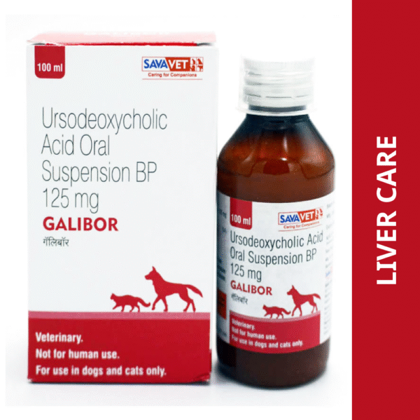 Savavet Galibor Supsension (Ursodeoxycholic Acid) for Dogs & Cats (100ml) - 100mL