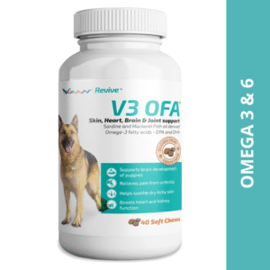 Vvaan V3 OFA Tablet Omega 3 & 6 Supplements for Dogs (pack of 40 tablets) - 40 Tablets