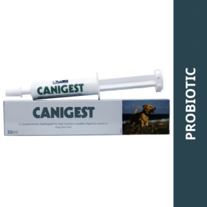 Vetina Canigest Probiotic Gastrointestinal Paste for Dogs & Cats (30ml) - 30mL