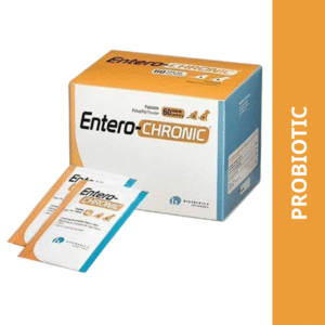 Vivaldis Entero Chronic Pre & Probiotics Gut Health Powder for Dogs and Cats - 1 Sachet