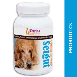 Vetrina Setgut Powder for Dogs and Cats (50g) - 50g