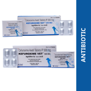 Vetina Kefuroxime Vet 250mg for Dogs and Cats (pack of 4 tablets) - 1 strip (4 tablets)