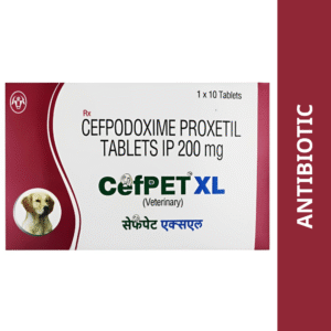 Intas Cefpet XL 200mg (Cefpodoxime Proxetil) Tablet - 1 strip (10 Tablets)
