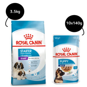 Royal Canin Giant Breed Dog and Puppies Starter Dry Food and Maxi Puppy Dog Wet Food Combo - 3.5kg(Dry)+10x140g(Wet)