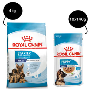 Royal Canin Maxi Starter Dry Food and Maxi Puppy Dog Wet Food Combo - 4kg(Dry)+10x140g(Wet)