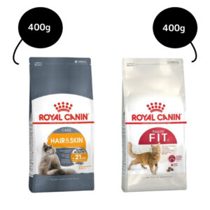 Royal Canin Fit 32 Dry Food and Hair & Skin Care Adult Cat Dry Food Combo - 400g + 400g