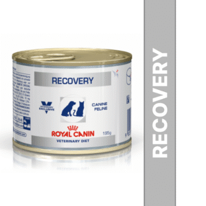 Royal Canin Recovery Canned Adult Pet Wet Food - 12x195g