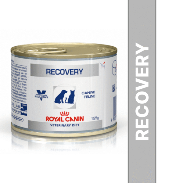 Royal Canin Recovery Canned Adult Pet Wet Food - 12x195g