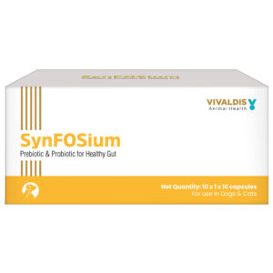 Vivaldis Synfosium Pre Probiotic Capsule for Dogs & Cats - 2 Strip (20 tablets)