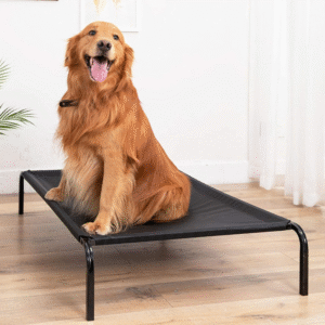 Fluffy's Pawsome Waterproof elevated Sides Camping Bed for Dogs (Black) - L