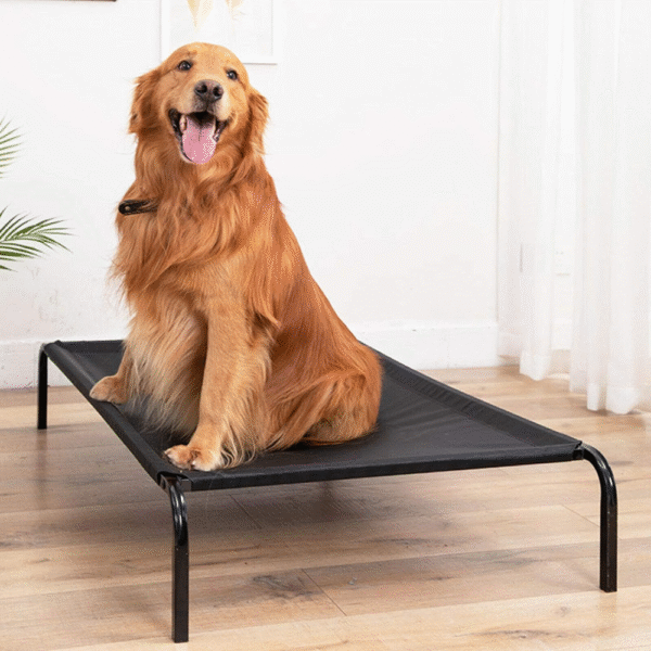 Fluffy's Pawsome Waterproof elevated Sides Camping Bed for Dogs (Black) - XL