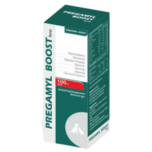 Corsie Pregamyl Boost Syrup Immunity Supplement for Dogs and Cats - 100ml