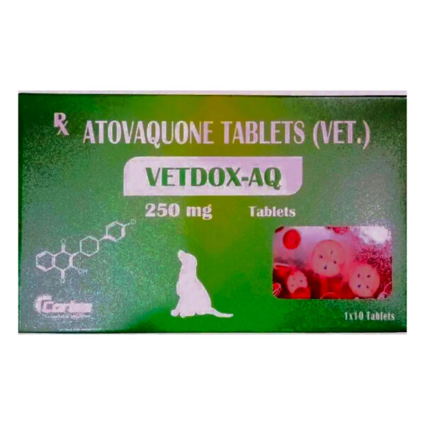 Corise Vetdox AQ 250mg (Atovaquone)Tablets for Dogs and Cats - 1 strip (10 tablets)