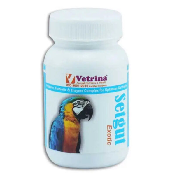 Vetrina Setgut Exotic Powder for Birds (50g) - 50g