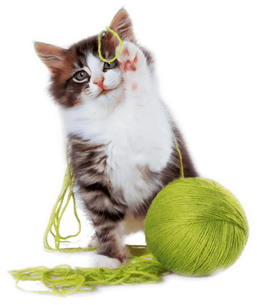 img_2.png img_2.png